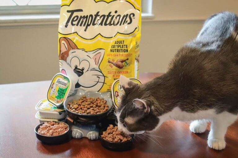 Unbiased Temptations Cat Food Review - Cats.com