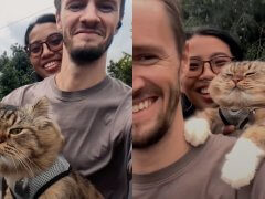 Cat Loves to Ride Motorbikes