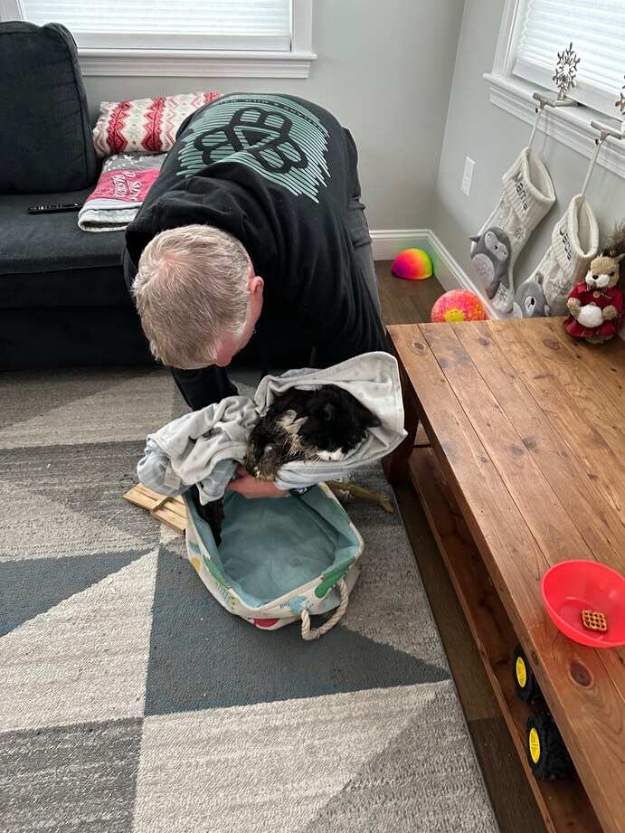 Dawn and her family members stood by, waiting with blankets, ready to comfort the cat once it was rescued from the icy pond.