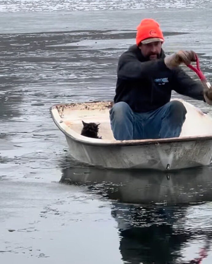 A rescuer and a black cat are seen in a boat, carefully navigating the icy surface of the pond to ensure safety.