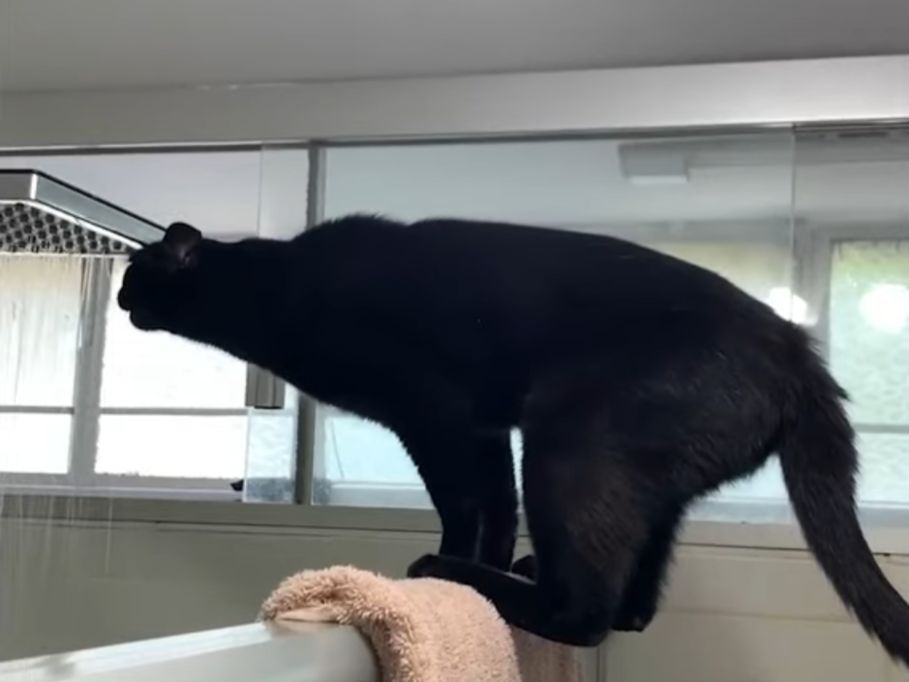 A new showering routine