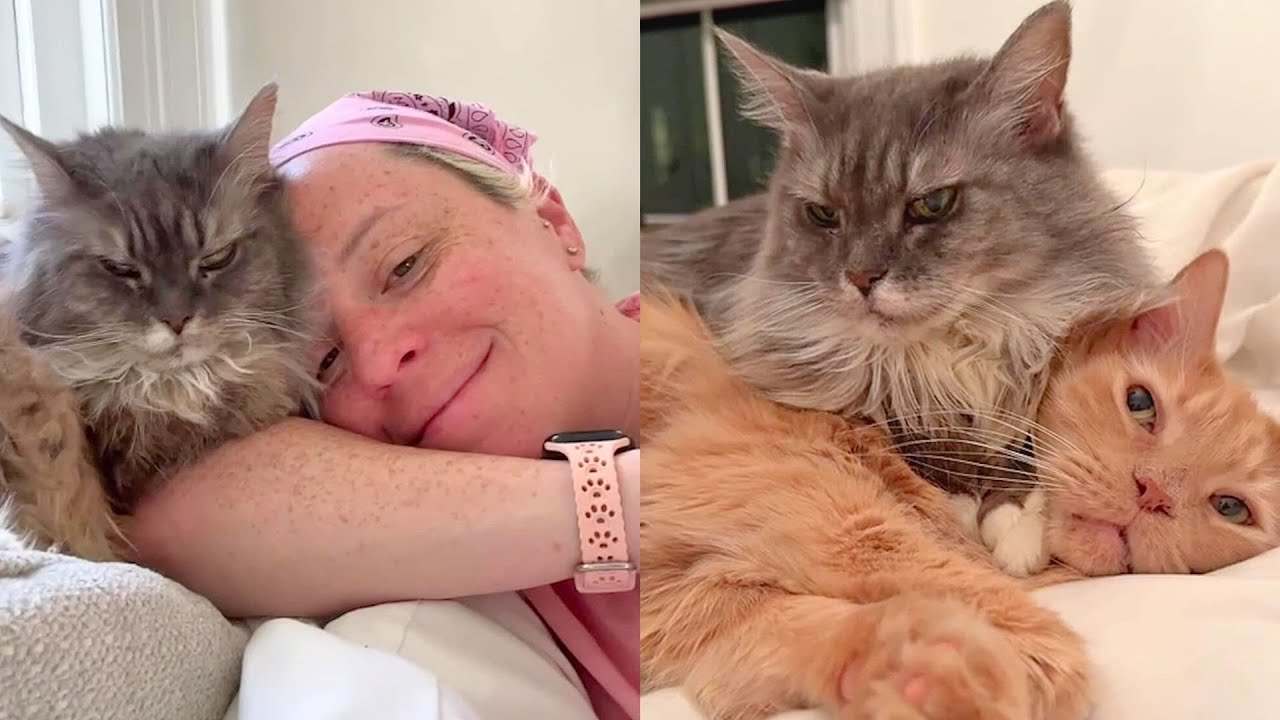 Cat Taught Her Mom What Love Should Feel Like