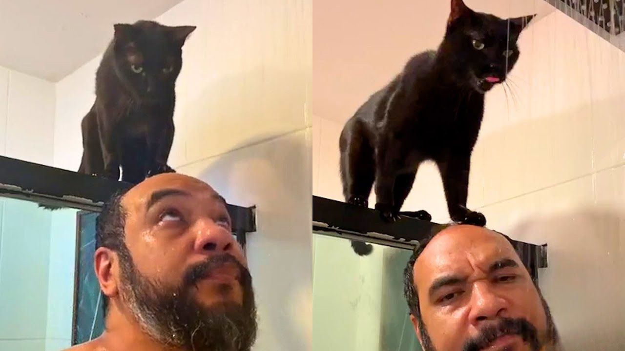 Cezanne the Cat Loves to Take Showers with His Dad