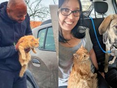 He Loved Dogs and She Loved Cats