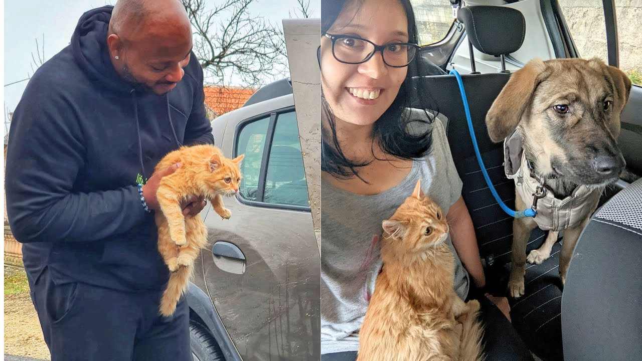 He Loved Dogs and She Loved Cats