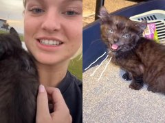 Her Dog Found a Sick Kitten in a Bush