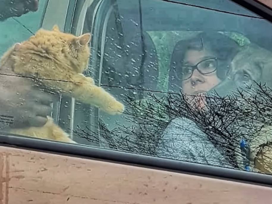 Meeting Simba