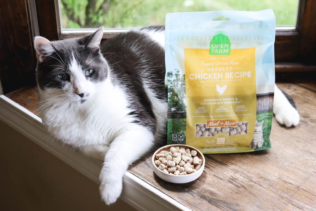 Open Farm Freeze Dried Raw Harvest Chicken Cat Food