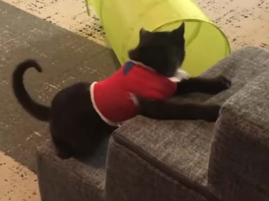 Returned and needing surgery