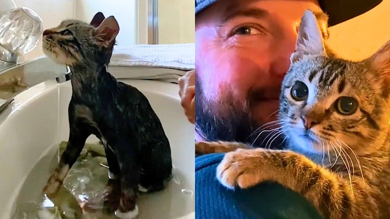 Shutdown Foster Kitten Wins Over His Family's Hearts