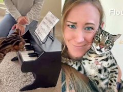 This Cat Learned to Talk, Swim, Play Piano