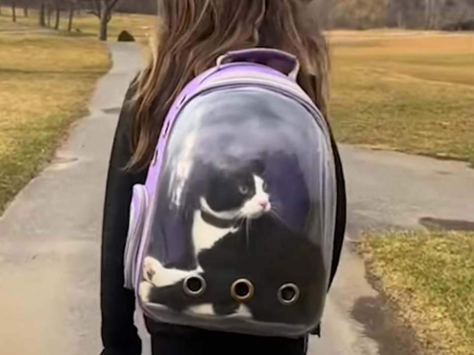 Claiming cats