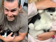 Family Went From Two Cats to Six-compressed