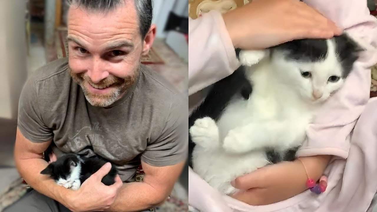Family Went From Two Cats to Six-compressed