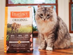 Grey Siberian With Instinct Original Grain Free Recipe With Real Chicken Dry Kibble Cat Food
