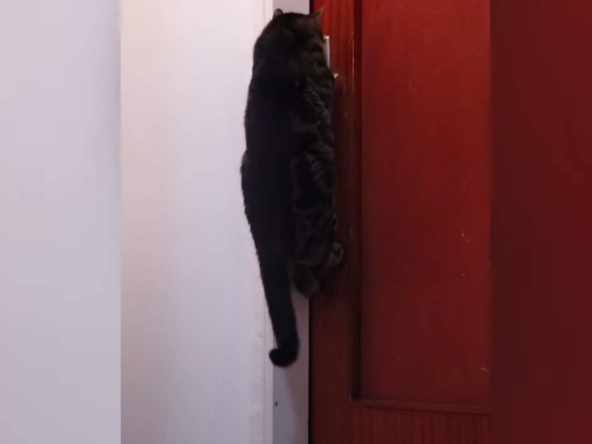 Learning to open doors