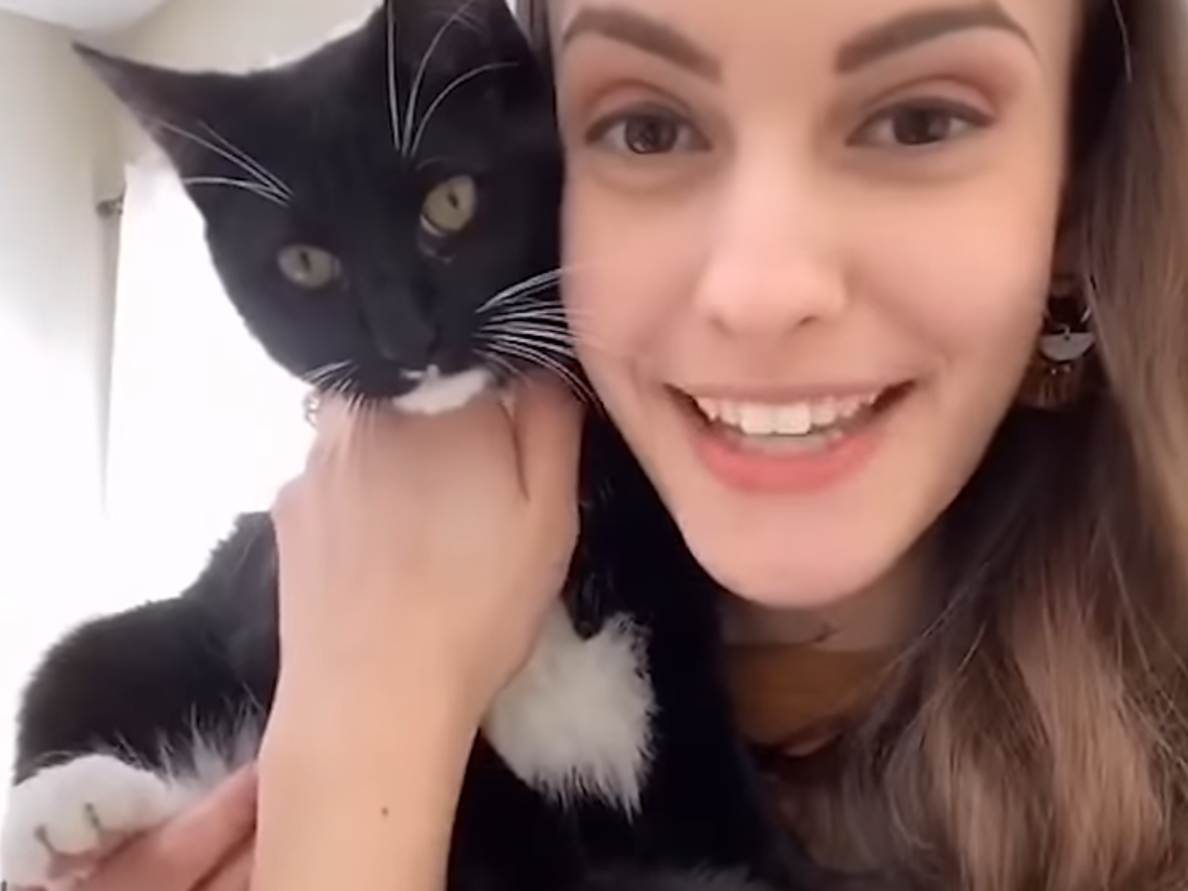 The coop kitty community