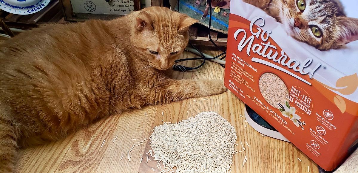 Catit’s Go Natural Pea Husk Litter.