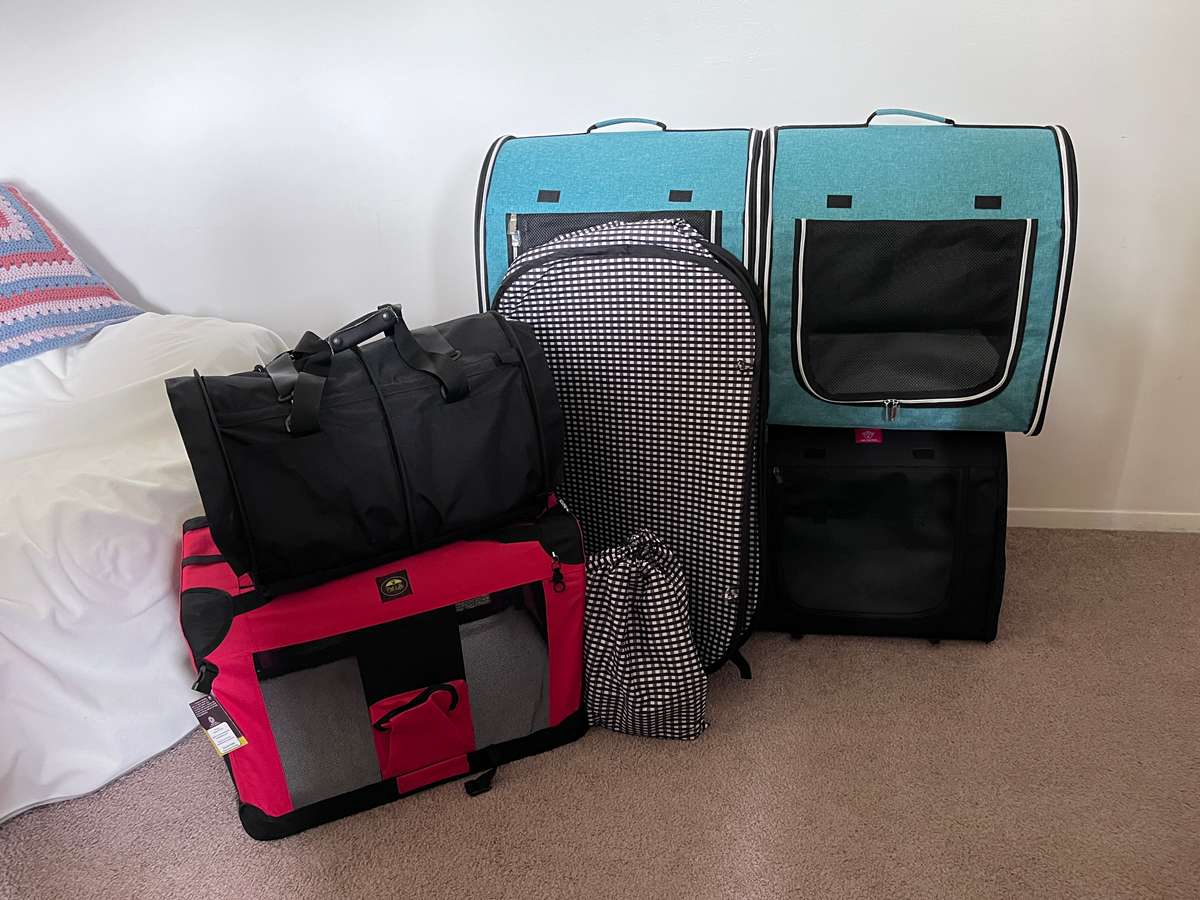 Best Double Cat Carriers