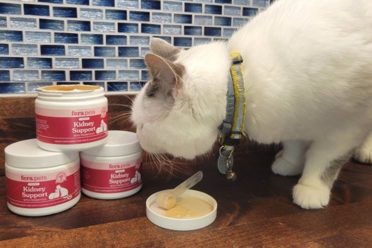 Fera Pets Supplements Review