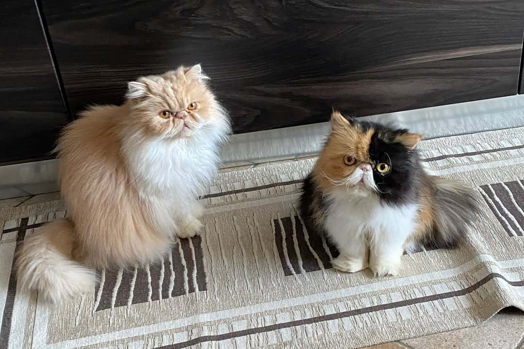 Mia and Sophie