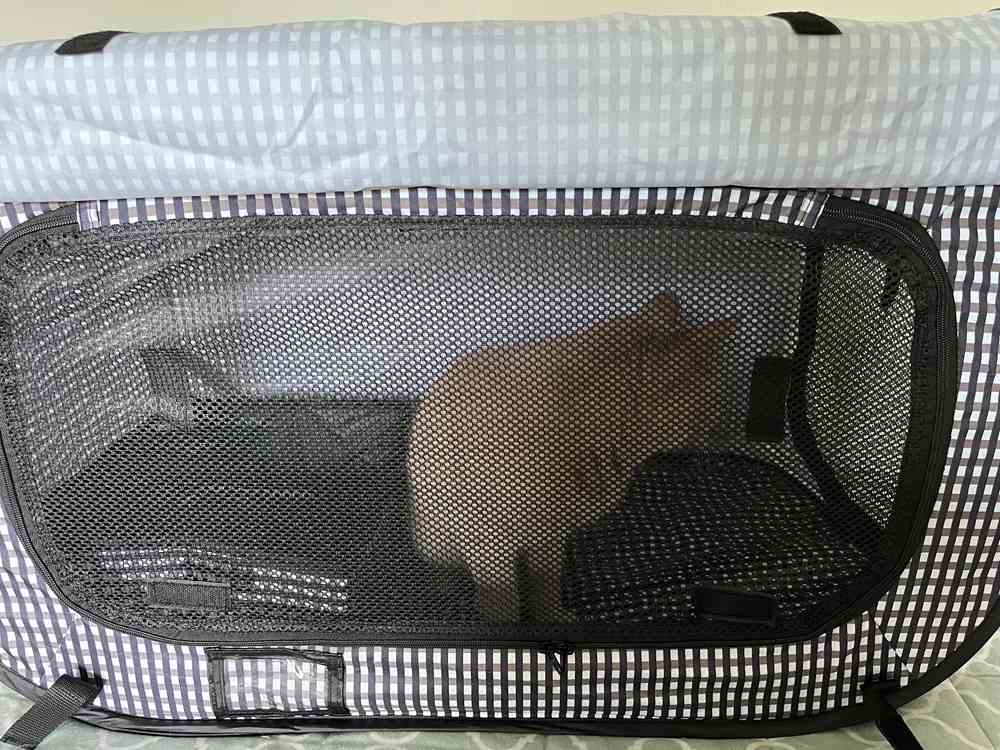 Necoichi Portable Stress Free Cat Cage & Litter Box Set