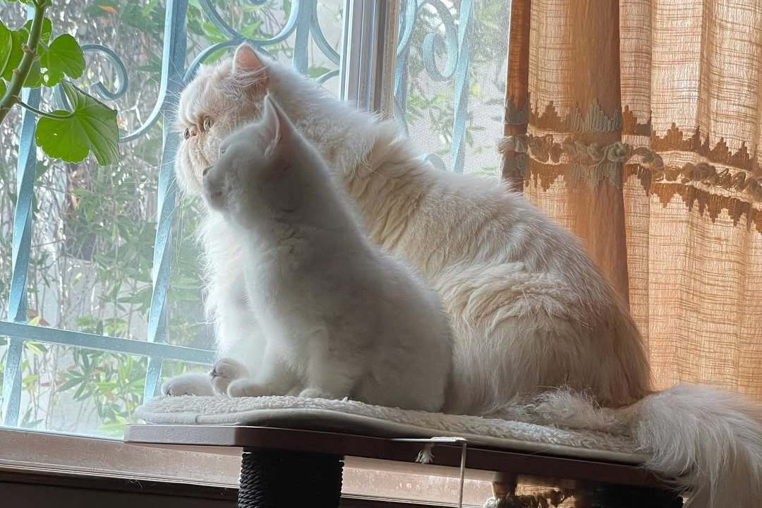 Ollie and Sofie