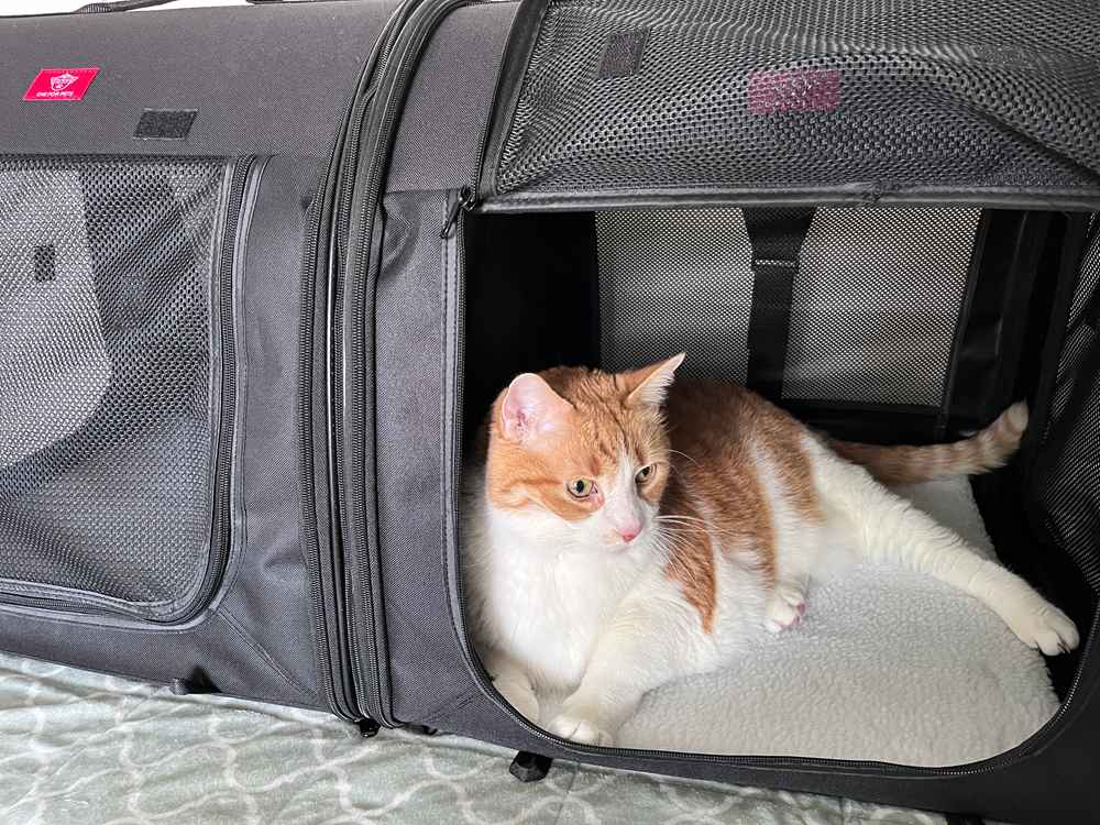 One For Pets Portable 2-in-1 Double Pet Kennel