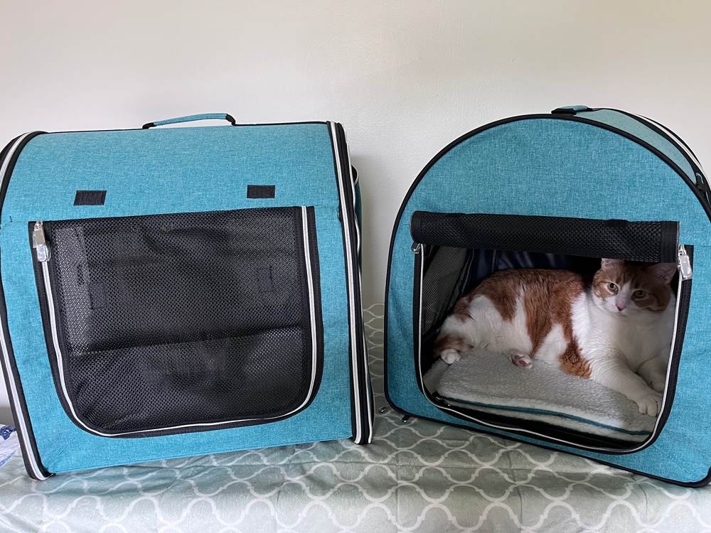 PawHut Portable Soft-Sided Cat Carrier