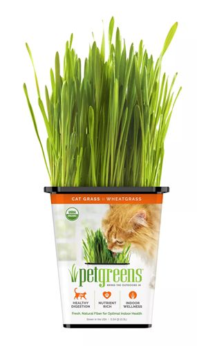 Pet Greens 100% Organic Wheatgrass Live Cat Grass