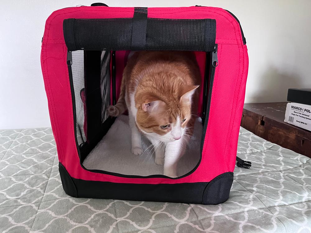 Pet Life Deluxe 360°