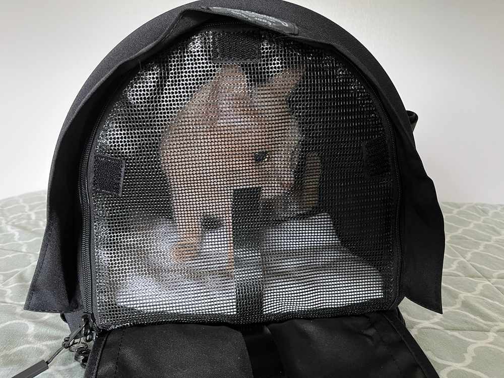 SturdiBag Large Pet Carrier