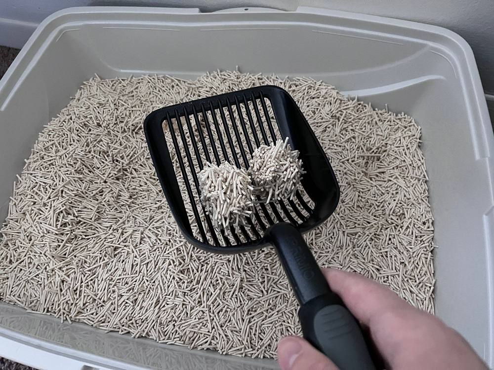 Four Paw cat litter tested on cats.