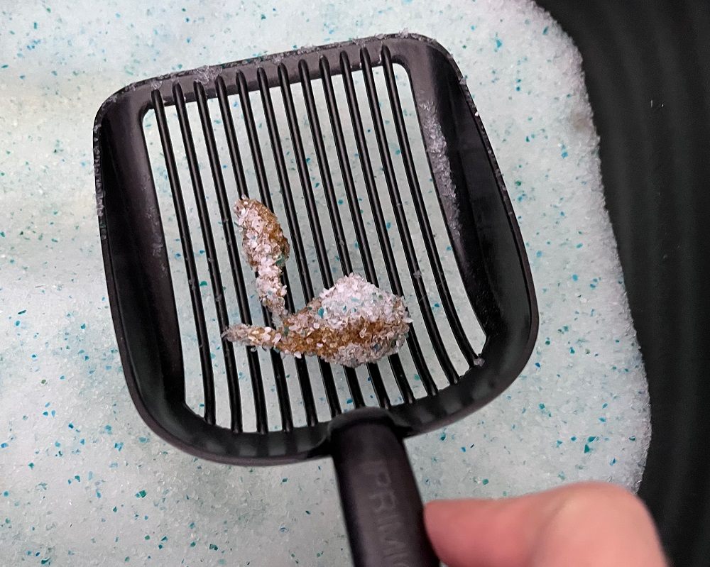 The Litter Pearls Micro Crystal Litter handles cat poop well.