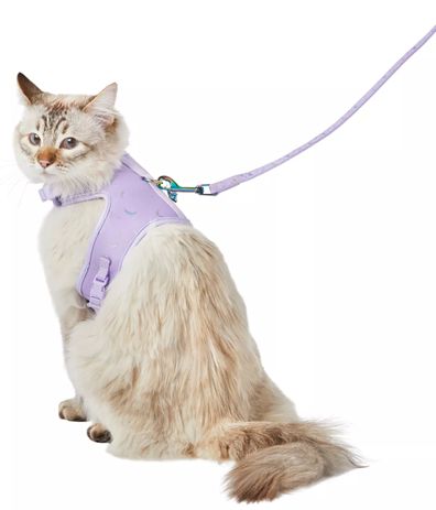 Whisker City Purple Moons Cat Leash & Harness Combo