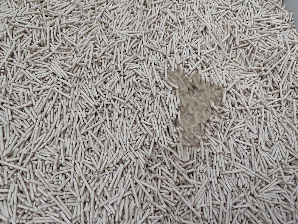 cat pooping on Four Paw Tofu Cat Litter