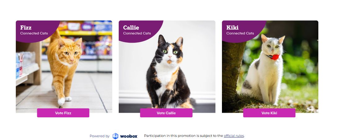 vote kiki
