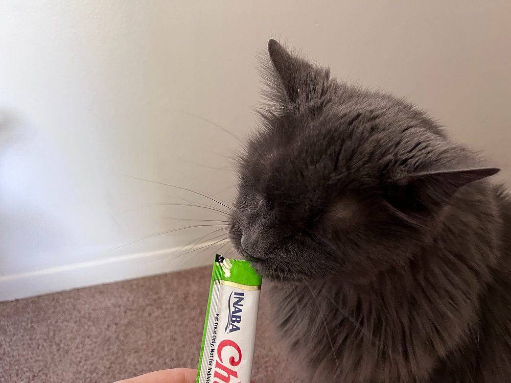 Churu Lickable Cat Treats