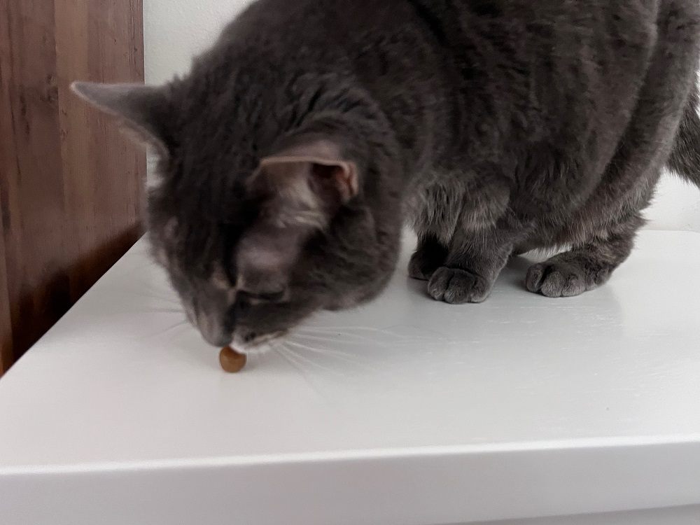 Greenies Pill Pockets Cat Treats