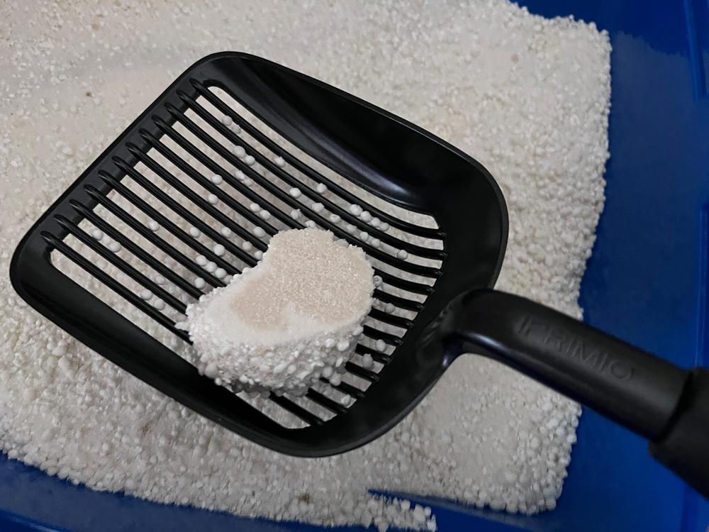OPET Corn and Cassava Cat Litter clumbing ability