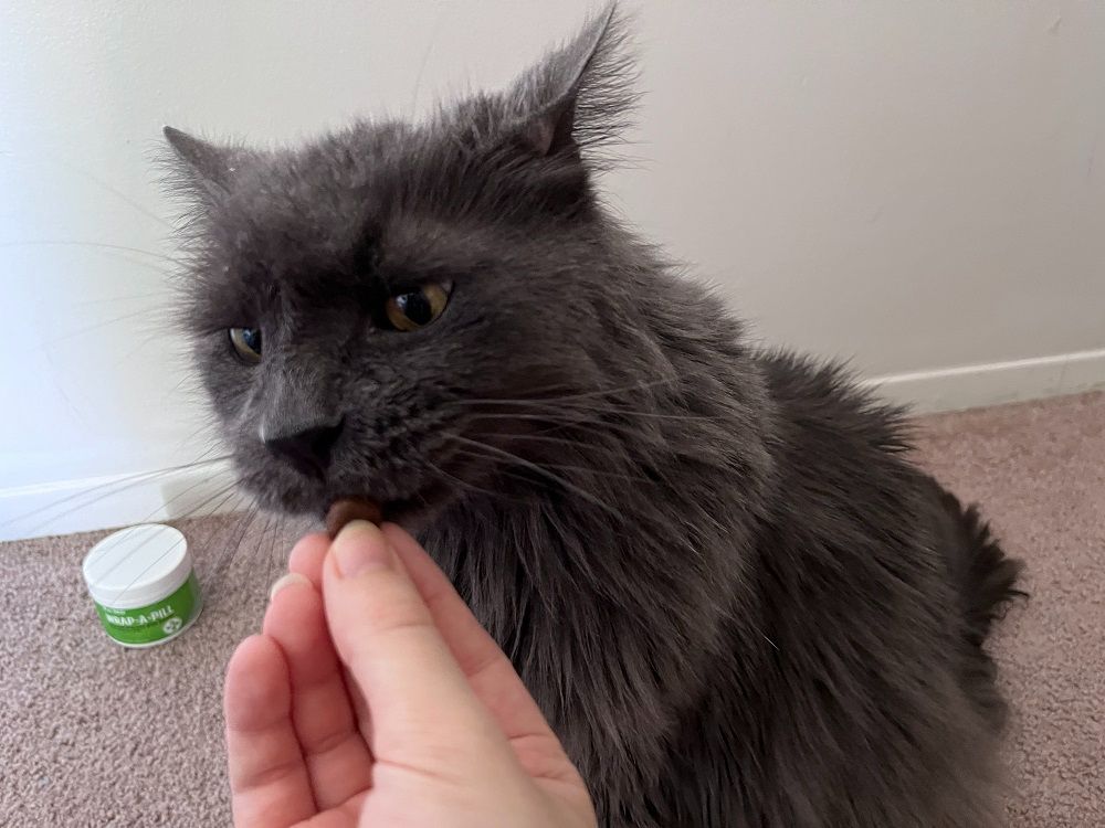 Pet MD Wrap-A-Pill Paste