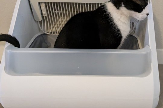 Popur X5 Self-Cleaning Cat Litter Box Review