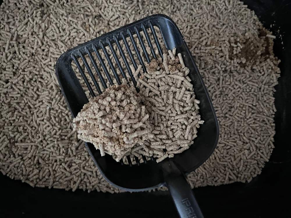 Weruva cat litter clumping ability