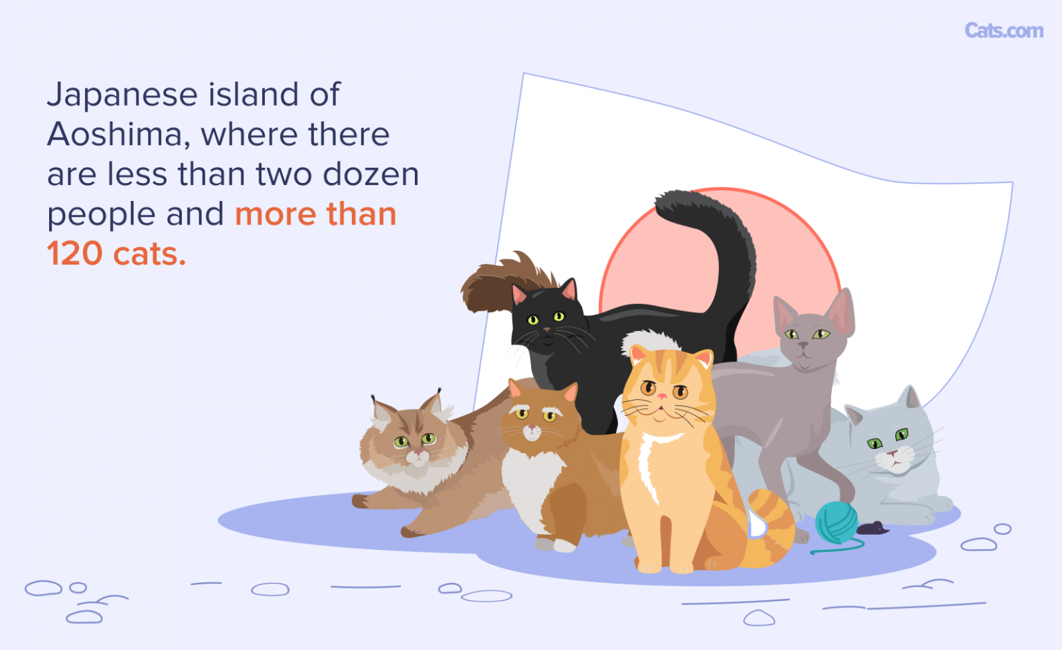 Cat Statistics 2026 Newest Available Data + Infographic - Cats.com