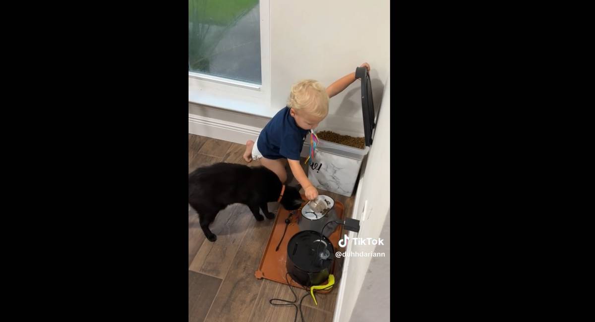 toddler and cat