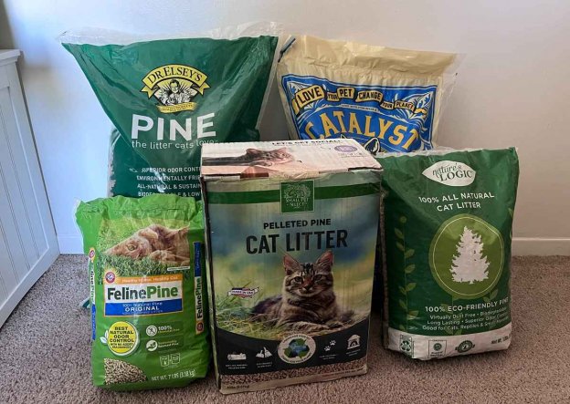 The 5 Best Pine Cat Litters - Cats.com