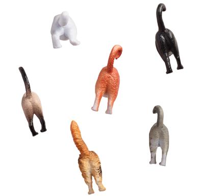 Cat Butt Magnets 6 Pack
