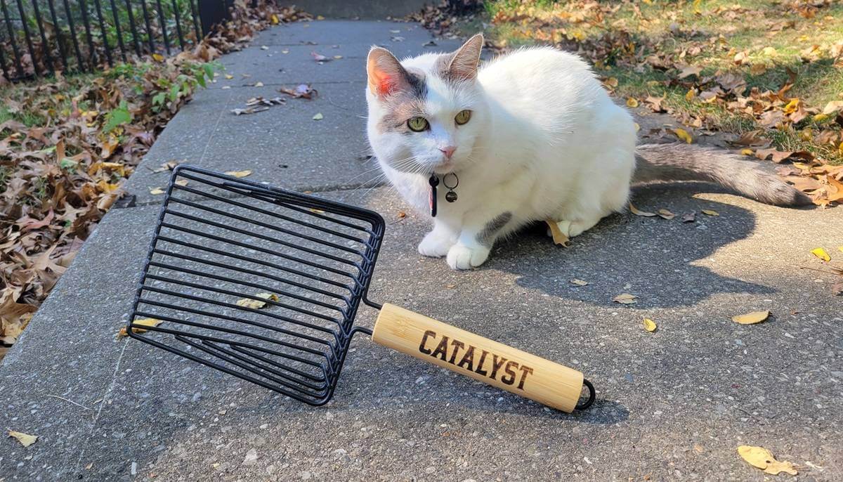 Catalyst Pet Slatted Steel Cat Litter Scoop