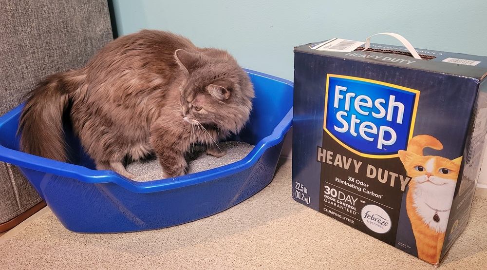 Fresh Step cat litter