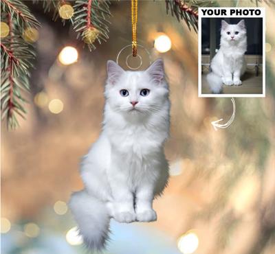Personalized Custom Photo Mica Ornament